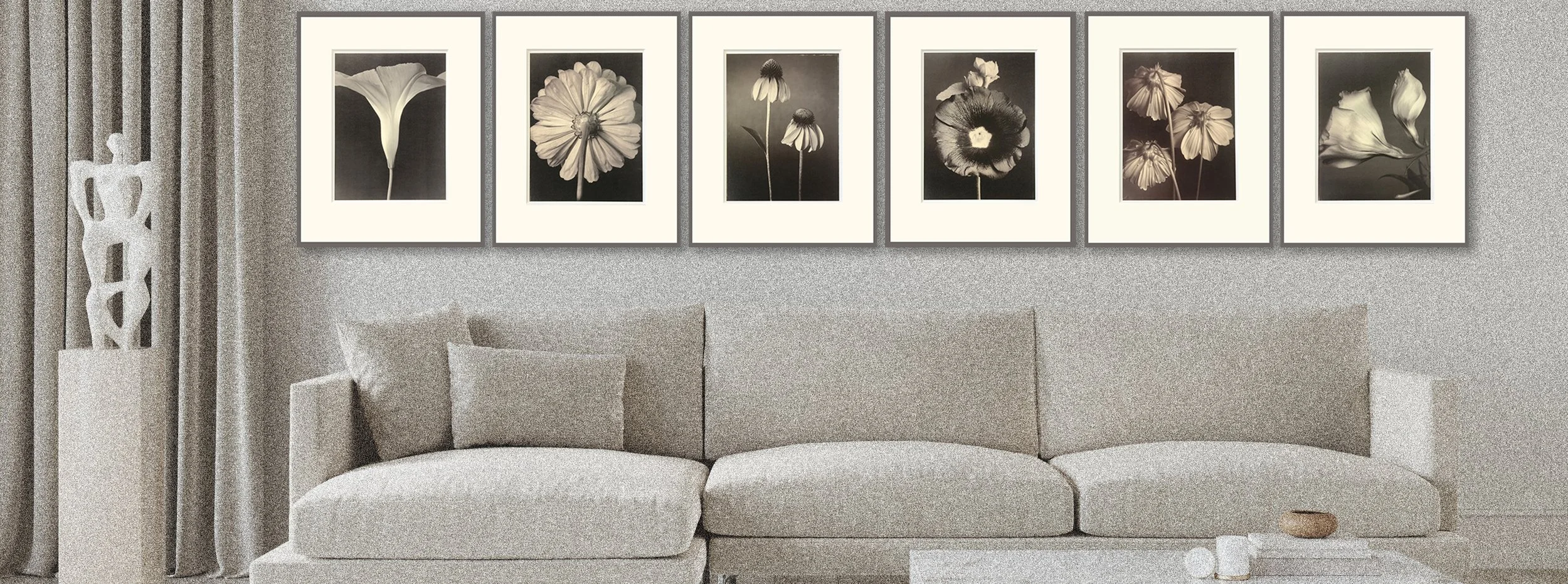 TOM BARIL BOTANICA — MattedPrint.Com